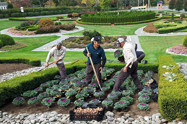 A skilled team of landscapers tending to the beauty of the property's outdoor surroundings