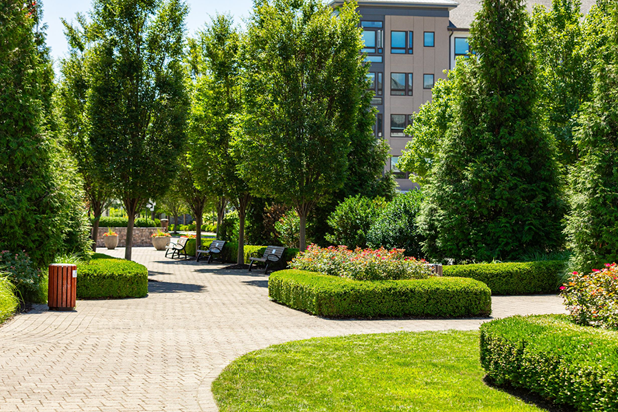 ADA-compliant outdoor spaces with paved walkways, hedges, trees, and seating areas designed for accessibility and visual appeal.