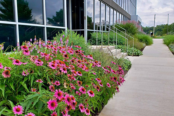 Beautiful flowers in front of the commercial property.