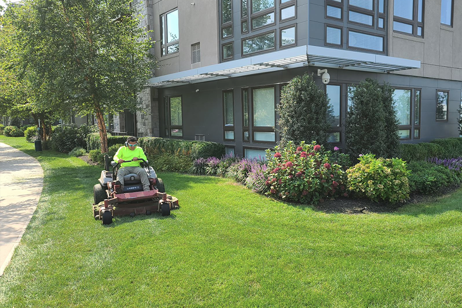 Commercial landscaping for municipal buildings with a worker mowing grass, surrounded by shrubs and trees near a building