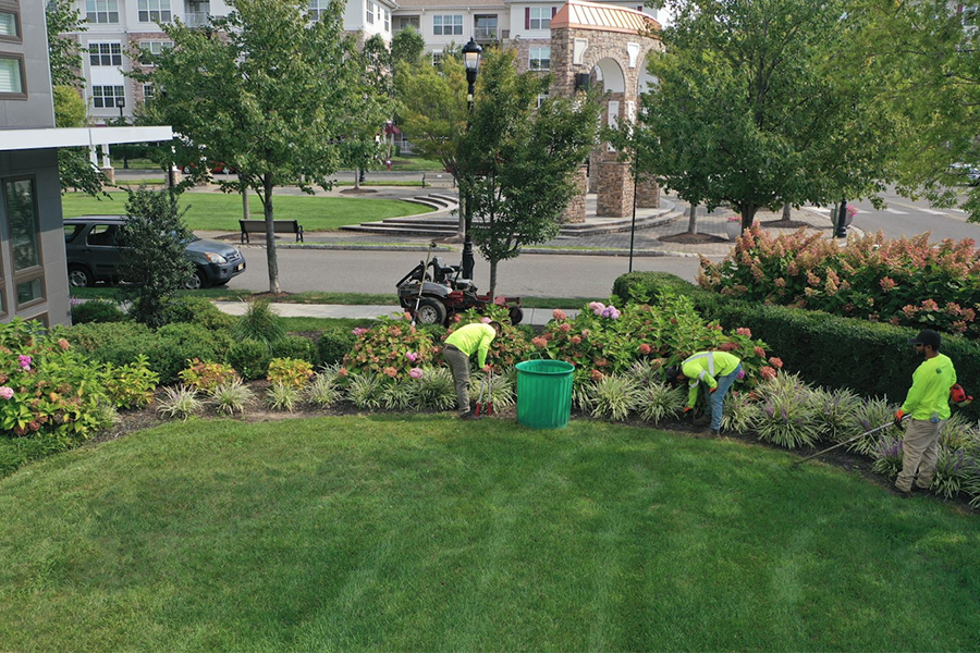 Landscaping team performing commercial property maintenance tasks