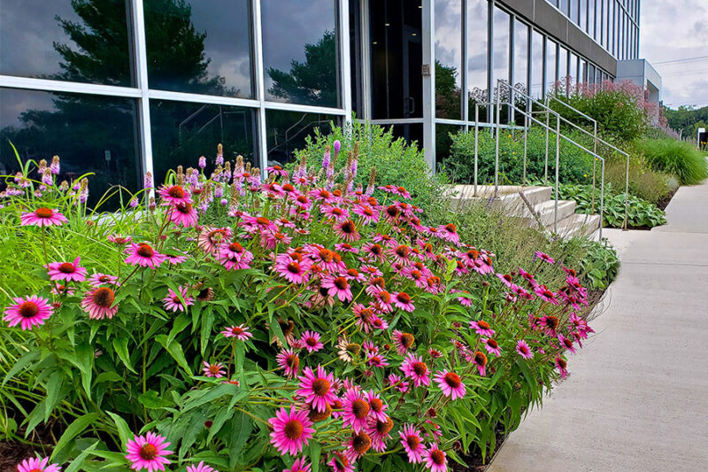 Lush greens and vibrant flowers adorn the exterior of a commercial property, a testament to the meticulous landscape management by our professional property management team in CT.