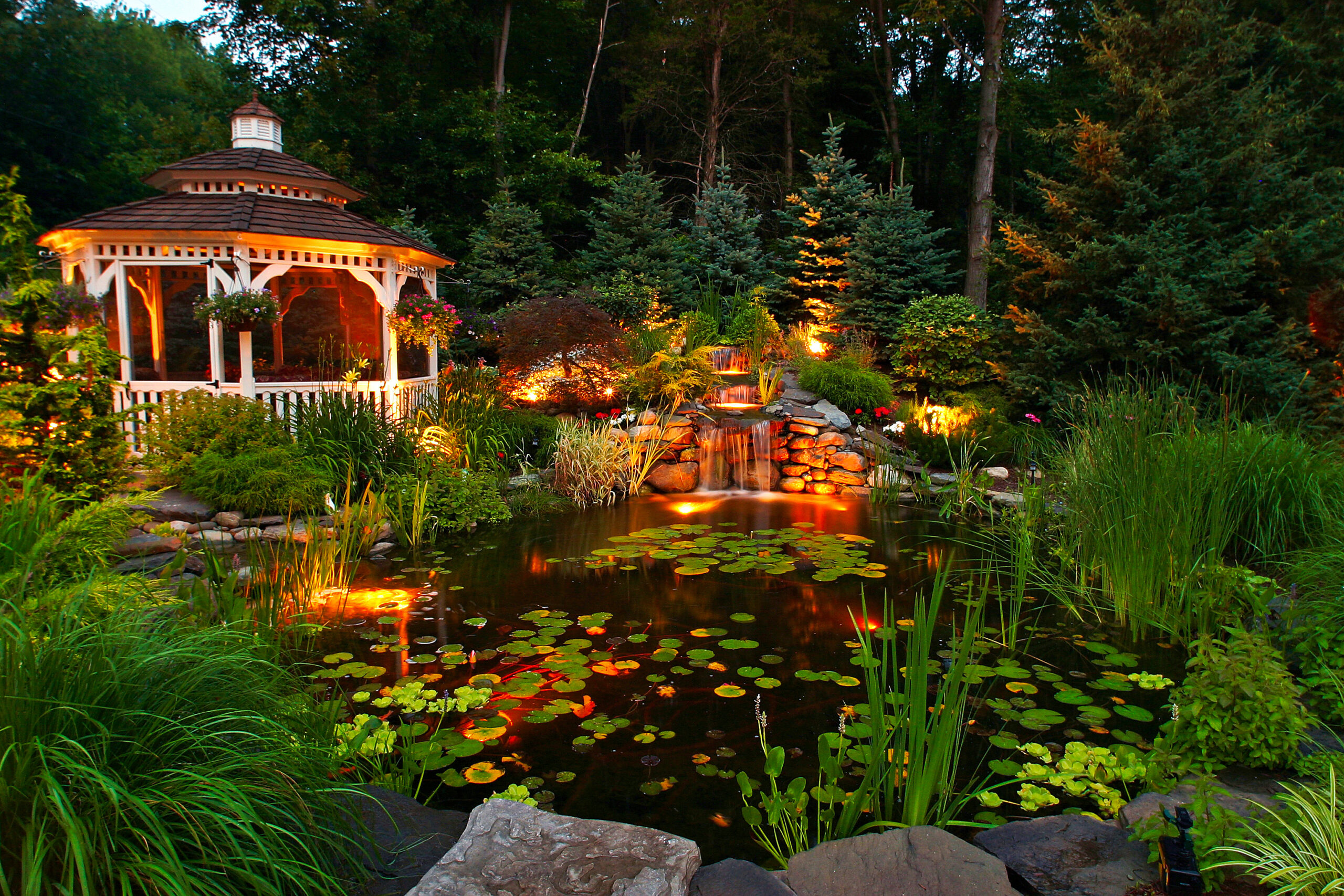 koi pind and commercial landscape lighting services by Neave Group