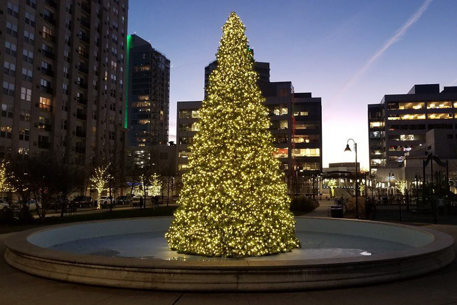 Professional decorating services featuring a large, illuminated Christmas tree in an urban public plaza at dusk