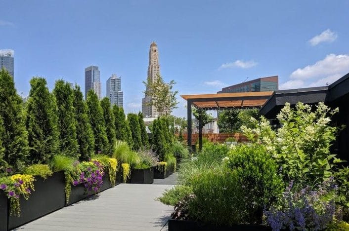 What to Ask Before Building a Rooftop Garden | Neave Group