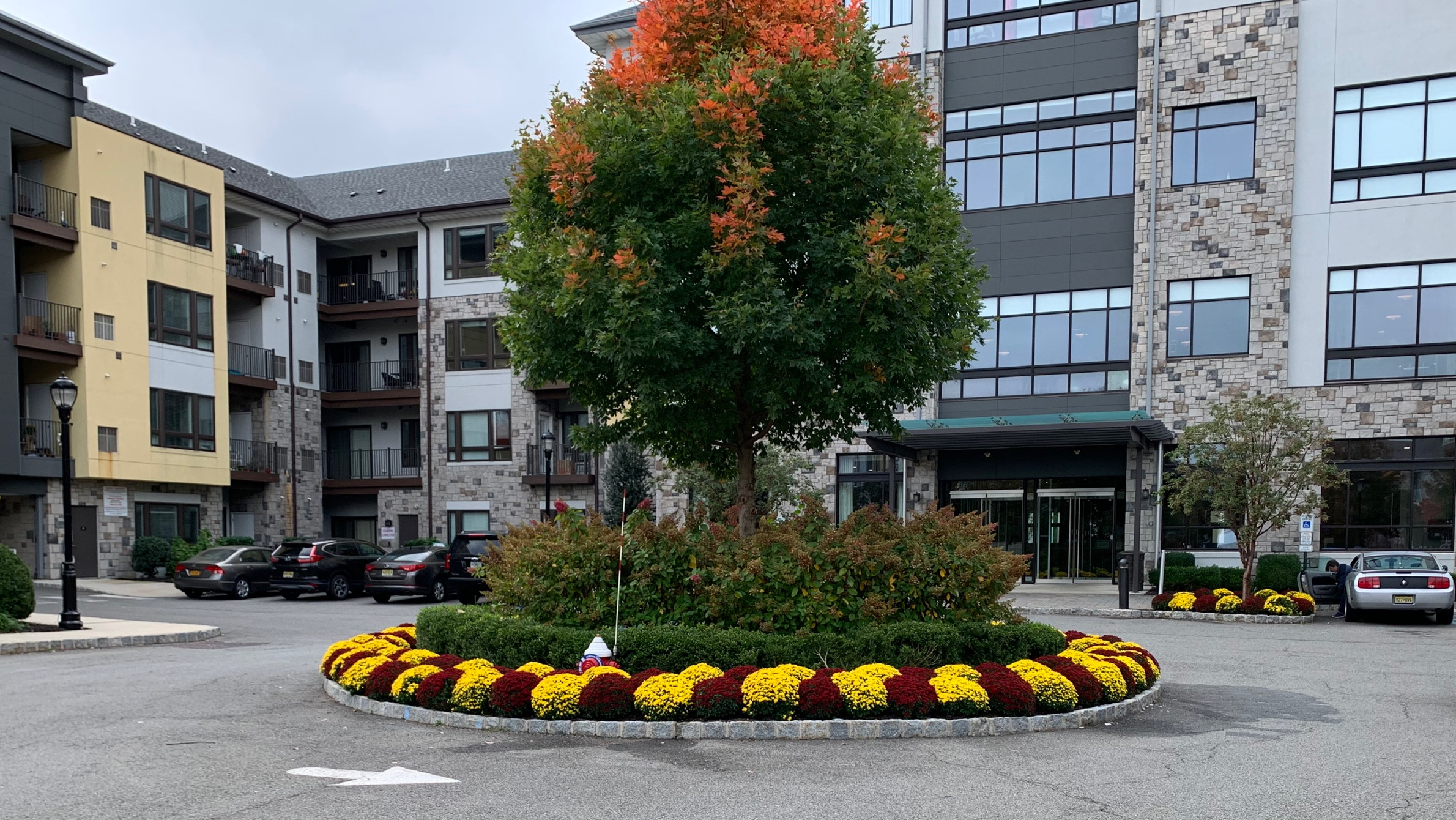 seasonal flower bed colors and professionally maintained commercial property entrance