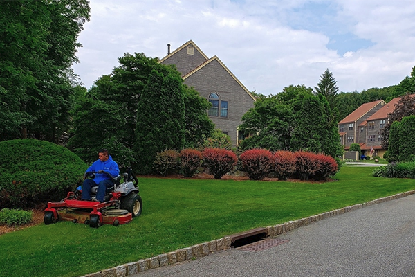 Skilled worker mowing the lawn of the commercial property