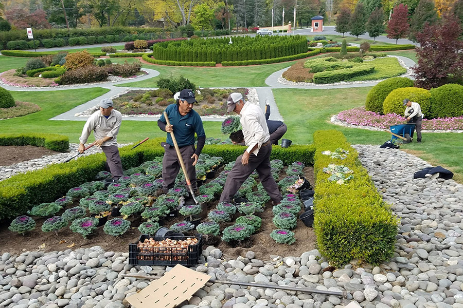 Workers planting in a landscaped garden, demonstrating how landscaping and property value are interconnected