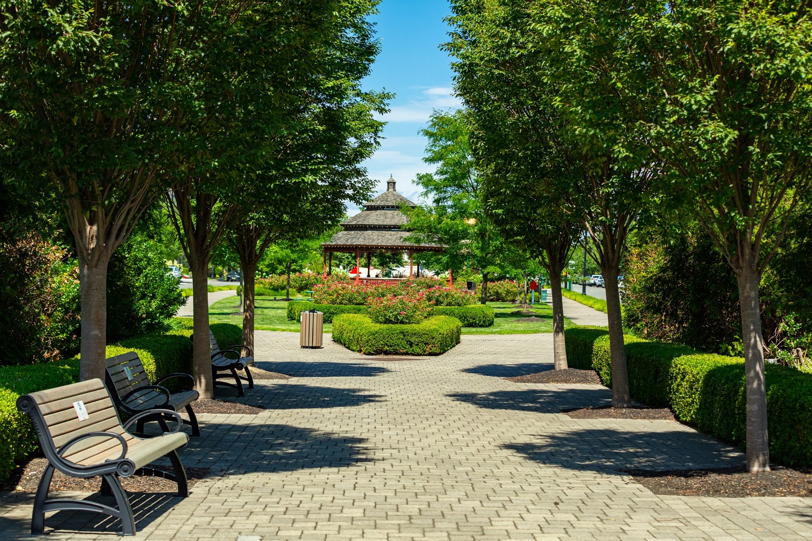 Long brick walkway ained up with trees