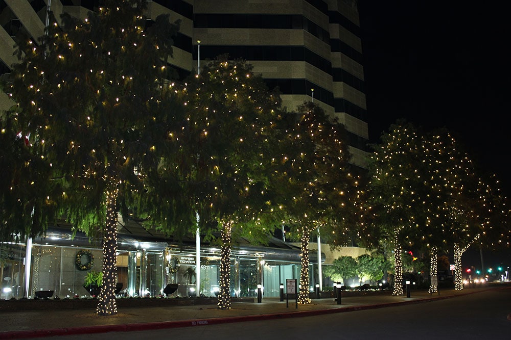 Outdoor tree lights for corporate office