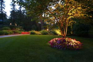 Landscape industry trends that display lush greenery & drought tolerant plants
