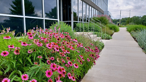 Flower bed and regular yard maintenance are handled by landscaping professionals.