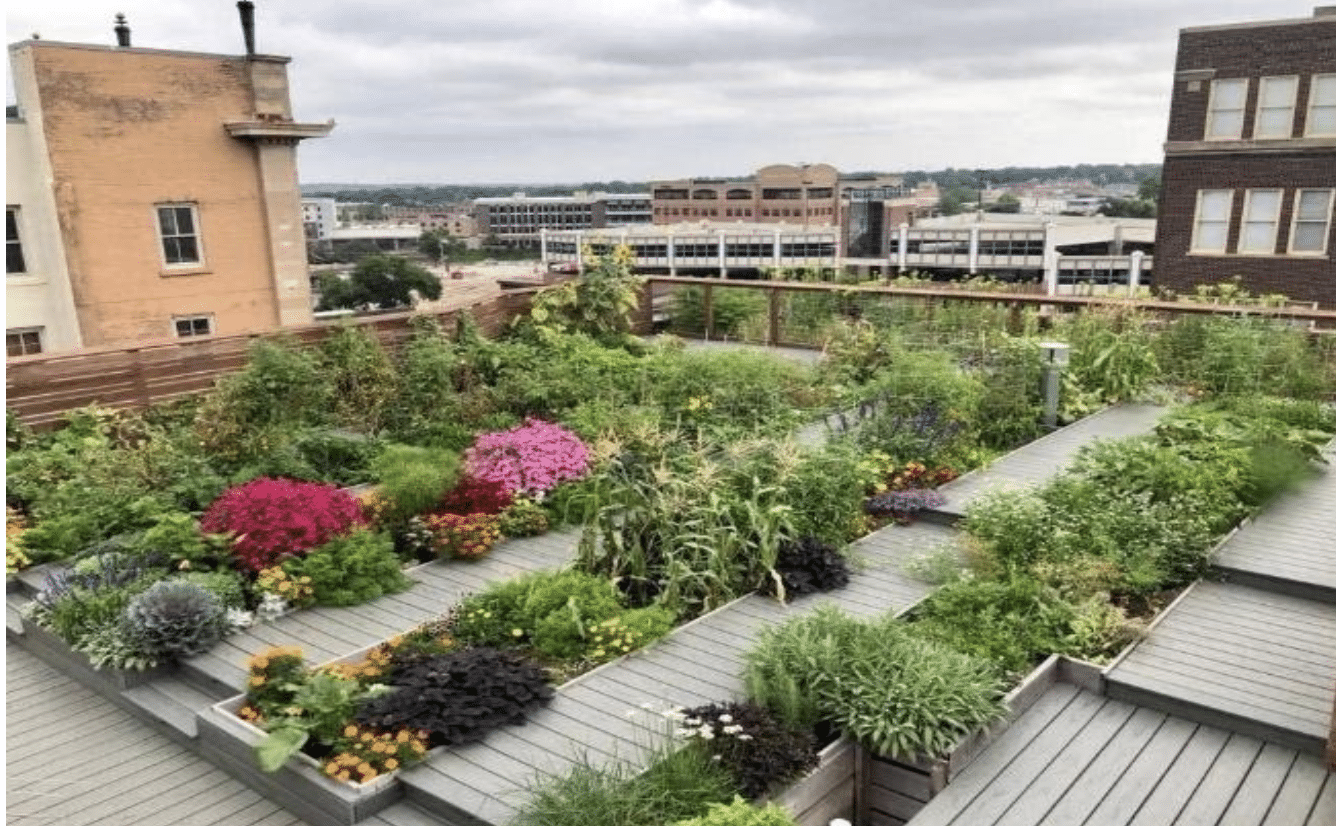 Rooftop Garden Designs in New York | Neave Management