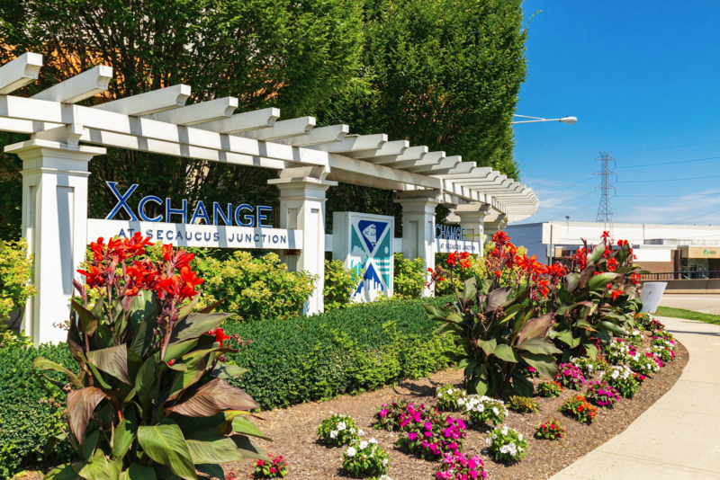 white pergola surrounded by bushes and trees